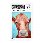 Pintura de la vaca de Kathryn A. Gainard Franqueo