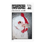 Pintura del pollo de Kathryn A. Gainard Franqueo