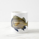 Pintura realista fabulosa de los pescados tazas