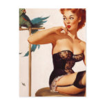 Pinup With Parrot Post Card