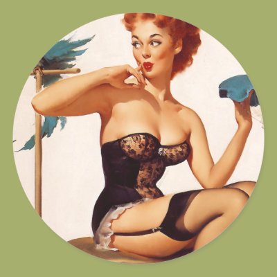 Pinup With Parrot Stickers Zazzle_sticker Pinup With Parrot Stickers Zazzle_sticker