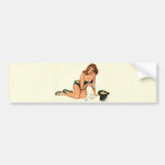 PinUpz 18 bumper stickers