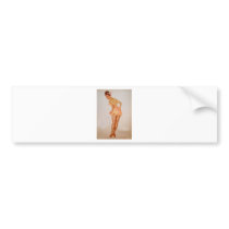PinUpz Girl 3 Bumper Stickers