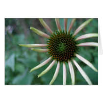 Pinwheel cards by dannamarie72 Pinwheel cards