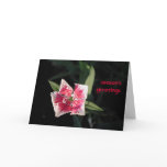Pinwheel Flower Greetings Greeting Card