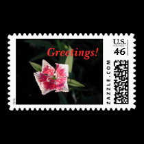 Pinwheel Flower postage