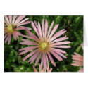 Pinwheels cards