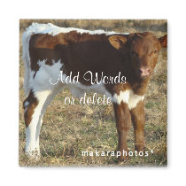 PinzCalfSqMagnet-customize by MakaraPhotos PinzCalfSqMagnet-customize