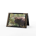 Pinzgauer-Bday-customize cards