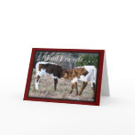 Pinzgauer Calves- AnyOccasion card-customize