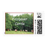 Pinzgauers Grazing stamp-customize