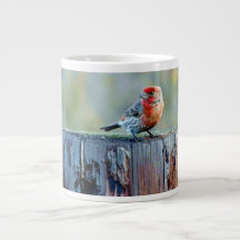 Pinzón en tocón taza jumbo