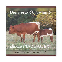 PinzOpt-magnet-customize by MakaraPhotos PinzOpt-magnet-customize