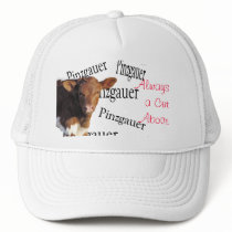 PinzPinz-cut aboveCap-customize hats