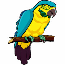 Pio Parrot photo sculptures