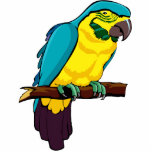 Pio Parrot Cut Outs