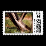 Pioneer Days postage