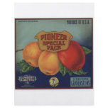 Pioneer Full Color Flyer