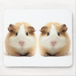 Piou & Poui mousepads