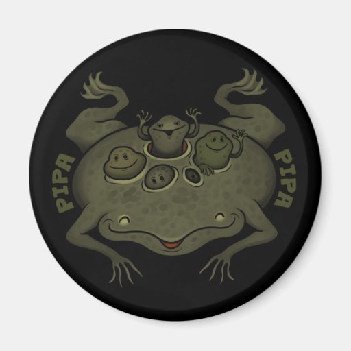 Pipa Pipa (Surinam Toad) Fridge Magnets