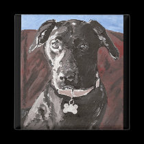 Piper, A Black Lab magnets