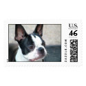 Piper-Stamp-01 by paulkostyz Piper-Stamp-01