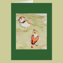 Piping Plovers - water bird Note Card cards