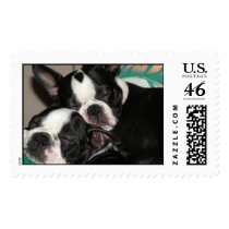 Pipir-Pinocchio Stamp