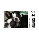 Pipir-Pinocchio postage