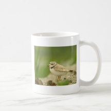 Pipng Plover Coffee Mugs