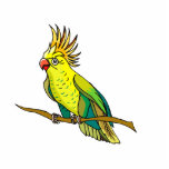 Pippin Parrot Photo Sculptures
