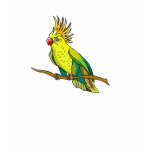 Pippin Parrot Shirt