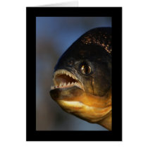 Piranha Close-Up Card