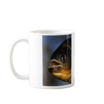 Piranha Close-Up Mugs