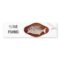 Piranha fish as trophy on wood isolated bumper sticker