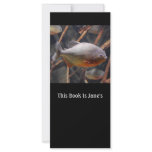 Piranha - Innocent Looking Brown Fish Bookmark rack cards