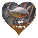 Piranha - Innocent Looking Brown Fish
