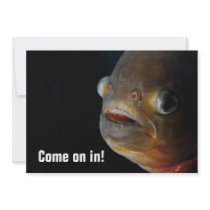 Piranha Invitation