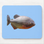 Piranha South American Fish