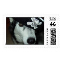 Pirate Anna postage