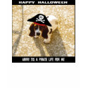 Pirate Basset Hound Shirt by mydoggieworld Pirate Basset Hound Shirt