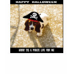 Pirate Basset Hound Shirt