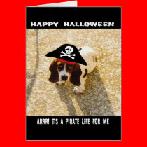 Pirate Bassett Hound Cards cards