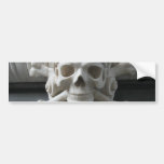 Pirate Bumper Sticker