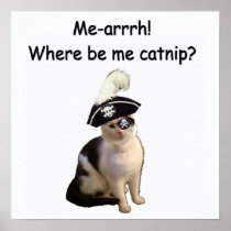 Pirate Cat Poster