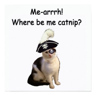 Pirate Cat Poster