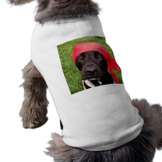 Pirate dog, black lab, red hankerchief green grass petshirt