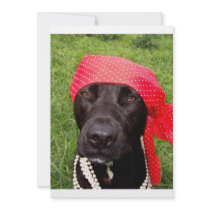 Pirate dog, black lab, red hankerchief green grass invites