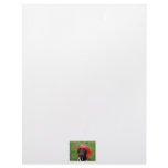 Pirate dog, black lab, red hankerchief green grass customized letterhead