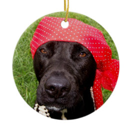 Pirate dog, black lab, red hankerchief green grass christmas ornaments